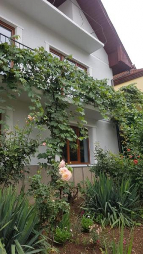 Madalina, Braşov